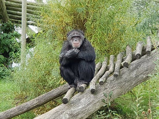 Zoo Arche Noah Grömitz